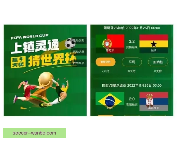 世界杯体育竞猜必胜攻略解析 提升你的竞猜技巧与预测准确率